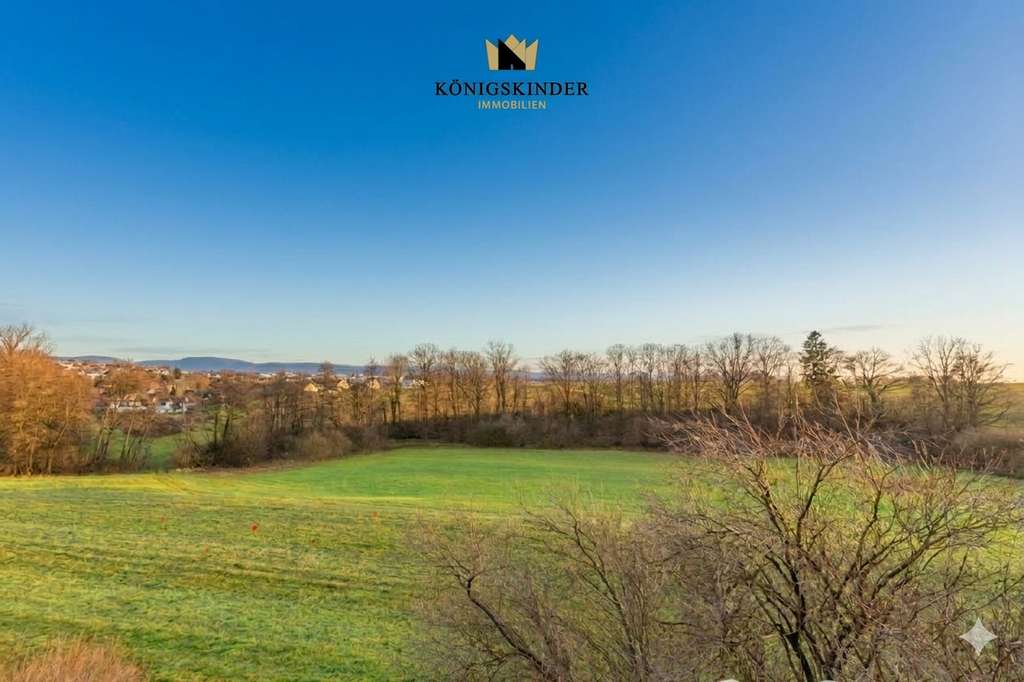 Immobilie in Wangen - Raumgefühl der besonderen Art - Platz für mehrere Generationen - Kombination von Wohnen und Arbeiten - Bild 3