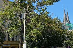 GEMÜTLICHE 3 RAUM WOHNUNG MIT EINBAUKÜCHE – Halberstädter Straße 154, 39112 Sudenburg, Magdeburg – Vorschaubild 22