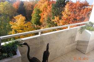 Property thumbnail 46