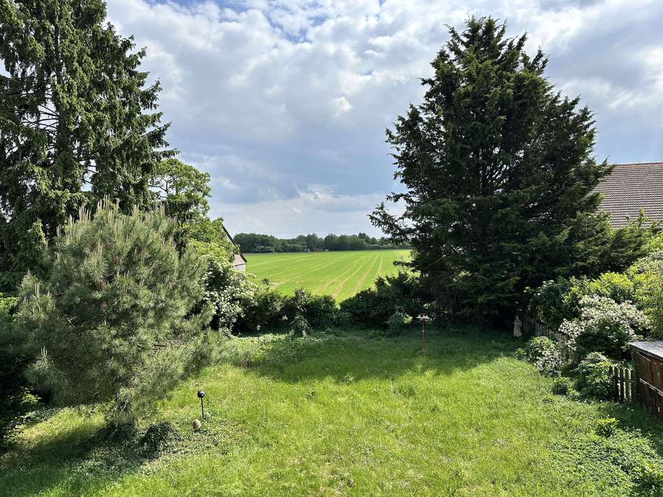 Ausblick Garten