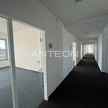 Hoher Ausbaustandard | sofort Bezugsfertig | Helle Büroflächen in Rhein-Nähe