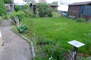 Doppelhaushälfte mit großem Garten in Walldorf – Groß-Gerau (Kreis) – Vorschaubild 8