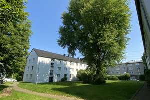 Charmantes 1-Zimmer-Appartement in Uni-Nähe mit Küche – Haskenstr. 43, 45143 Altendorf, Essen – Vorschaubild 7