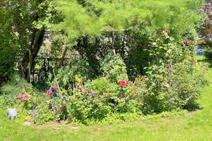 Property thumbnail 2