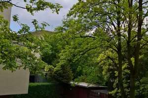 Stadt nah, Stadtwald nah, Zuhause angekommen - 3 Zimmer Wohnung + Loggia + Modernisiert,  Lindenthal – Die vollständige Adresse der Immobilie erhältst du vom Anbieter., 50931 Lindenthal (Ortsteil), Köln – Vorschaubild 6