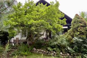 PROVISIONSFREI | Einfamilienhaus für Naturliebhaber im Westen Berlins – Berlin – Vorschaubild 5