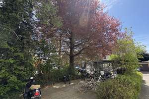 ***Attraktives MFH mit 12 Einheiten - bereits aufgeteilt - in gefragter Münchner Wohnlage*** – Die vollständige Adresse der Immobilie erhältst du vom Anbieter., 81927 Englschalking, München – Vorschaubild 4