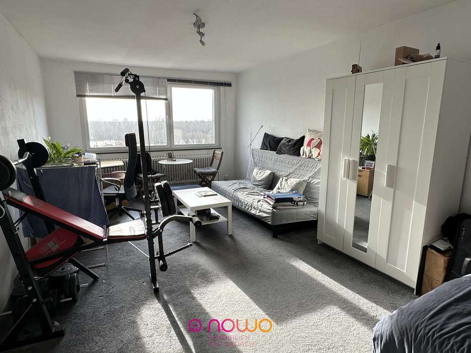 Wohn- und Schlafzimmer