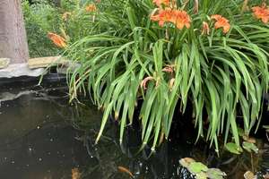 Reserviert- TOP Lage - Saniertes Schmuckstück - mit außergewöhnlichem Garten – Die vollständige Adresse der Immobilie erhältst du vom Anbieter., 45219 Kettwig, Essen – Vorschaubild 14