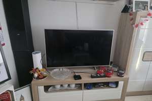 Alltagstaugliche 2-Zimmer-Wohnung in Hamburg-Wilhelmsburg – 21107 Wilhelmsburg, Hamburg – Vorschaubild 2