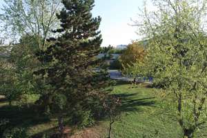 Property thumbnail 18