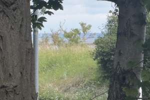 Ferienhaus in erster Reihe zur Ostsee  – Die vollständige Adresse der Immobilie erhältst du vom Anbieter., 23570 Travemünde, Lübeck – Vorschaubild 13