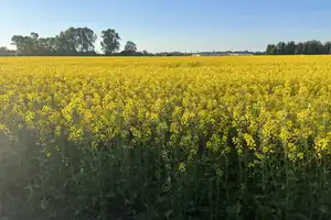 Eichenried: Wo Ihre Wohnträume Ihr Zuhause finden - Ihre eigene Doppelhaushälfte mit sonnigem Garten – Erding (Kreis) – Vorschaubild 12