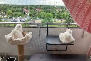 Helle 2-Zimmerwohnung mit Balkon – Zugspitzstr. 239, 90471 Langwasser Nordwest, Nürnberg – Vorschaubild 4