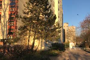+++ Große Wohnung in Rudow sucht Famlile +++ – Köpenicker Straße 143 A, 12355 Rudow, Berlin – Vorschaubild 2