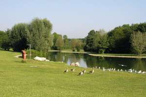 Property thumbnail 11