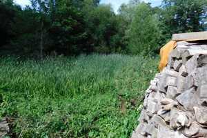 Traumhaftes Grundstück mit Bauernhaus, ca. 7 ha Wald, Teich und Nebengebäude – Parchim (Kreis) – Vorschaubild 19