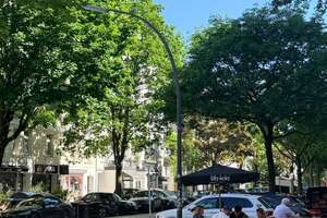 Befristet: Sonnige kernsanierte Altbauwohnung im schönsten Eppendorf – Hegestrasse 11, 20251 Hoheluft-Ost, Hamburg – Vorschaubild 33