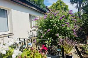 Freistehendes Einfamilienhaus mit vielen Möglichkeiten in ruhiger Lage von Berlin! – Die vollständige Adresse der Immobilie erhältst du vom Anbieter., 12623 Mahlsdorf, Berlin – Vorschaubild 4