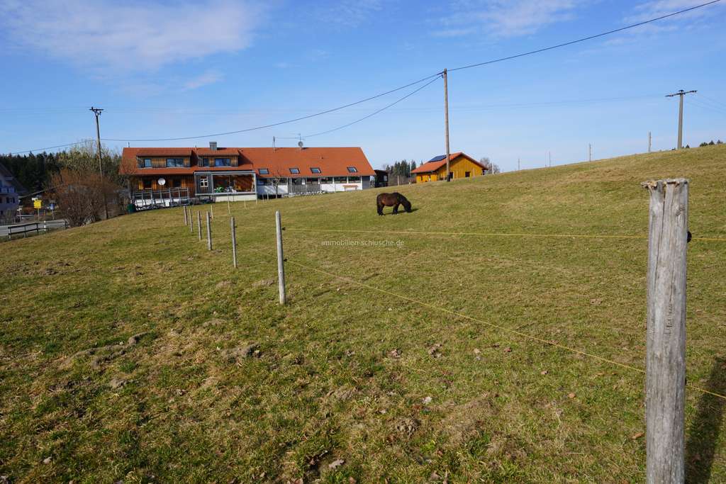 Immobilie in Maierhöfen - Wohnjuwel in ehemaliger Sennerei  aktuell mit 2 Wohnungen in KFW 55 Standard im Westallgäu - Bild 2