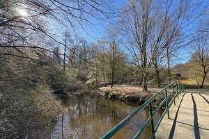 KAUFPREISREDUZIERUNG Stadthaus mit Garten im Herzen von Sasel & in direkter Nähe zum Alsterlauf – Die vollständige Adresse der Immobilie erhältst du vom Anbieter., 22395 Sasel, Hamburg – Vorschaubild 22