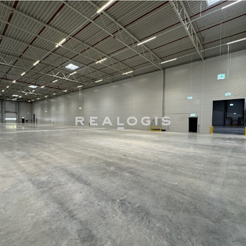 Lager/ Logistik - Rampe & ebenerdig - 7,50 m UKB