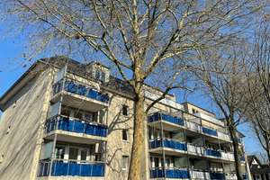 Erstbezug von 5-Zi-Whg. in Bestandsgebäude, Villenviertel u. Blick auf die Godesburg, zentrumsnah! – Jahnallee 1, 53173 Godesberg-Villenviertel, Bonn – Vorschaubild 2