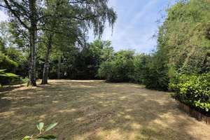 Hassels: 3 Familienhaus, TOP gepflegt, Kapitalanleger oder Selbstnutzer! Großer Garten! – 40599 Hassels, Düsseldorf – Vorschaubild 3