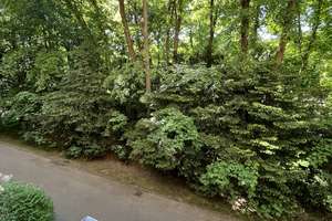 möbliert und sofort verfügbare 1 Zimmer Wohnung mit separater Küche – Forstenrieder Allee 8, 81476 Forstenried, München – Vorschaubild 2