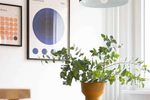 Property thumbnail 10