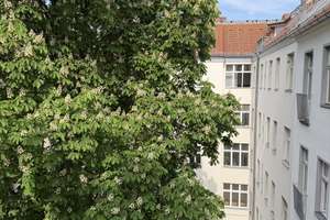 Stilvoll sanierte Altbauwohnung - provisionsfrei direkt vom Eigentümer – Die vollständige Adresse der Immobilie erhältst du vom Anbieter., 13347 Wedding, Berlin – Vorschaubild 11