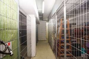 1-Zimmer-Apartment + tolle Infrastruktur + Striesen – Die vollständige Adresse der Immobilie erhältst du vom Anbieter., 1309 Striesen-West, Dresden – Vorschaubild 10