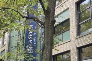 Property thumbnail 26