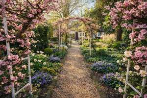 Stadtvilla - Verstecktes Idyll mit Gartenparadies  – Die vollständige Adresse der Immobilie erhältst du vom Anbieter., 74074 Heilbronn, Heilbronn – Vorschaubild 14