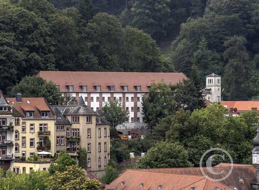 Wohnungen & Wohnungssuche in Heidelberg