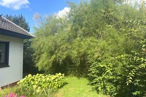 KILIAN IMMOBILIEN! BUNGALOW / EFH MIT 194 M² WFL IN GROßSCHWARZENLOHE / WENDELSTEIN!  UG AUSGEBAUT! – Die vollständige Adresse der Immobilie erhältst du vom Anbieter., 90530 Wendelstein – Vorschaubild 16