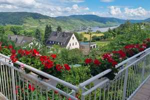 ** WOHNEN AM OBEREN MITTELRHEINTAL MIT HERRLICHEM, UNVERBAUBAREM BLICK AUF DEN RHEIN ** – Mainz-Bingen (Kreis) – Vorschaubild 11