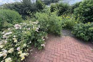 Einfamilienhaus mit Wintergarten in ruhiger Lage – Die vollständige Adresse der Immobilie erhältst du vom Anbieter., 37671 Höxter – Vorschaubild 9