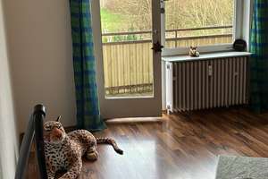 Property thumbnail 14