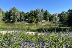 Property thumbnail 14