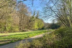 Großes und repräsentatives Einfamilienhaus mit Küche, Garage, Garten und Einliegerwohnung – Leverkusen – Vorschaubild 16