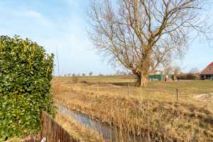 Doppelhaus mit Weitblick an der Nordsee – Dithmarschen (Kreis) – Vorschaubild 2