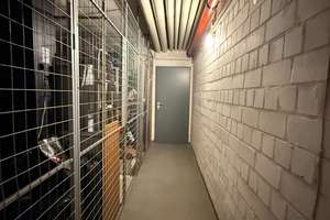 Property thumbnail 9