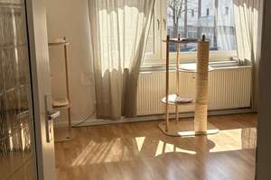 Nachmieter:in gesucht – helle 2-Zimmer-Wohnung in zentraler Lage in Essen-Rüttenscheid – Die vollständige Adresse der Immobilie erhältst du vom Anbieter., 45131 Rüttenscheid, Essen – Vorschaubild 3