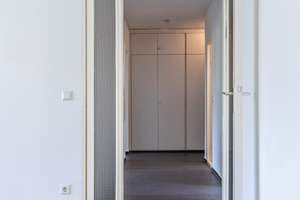 Helle 3-Zimmer-Wohnung in Berlin-Lichterfelde + Stellplatz *BEZUGSFREI* – Celsiusstraße 39, 12207 Lichterfelde, Berlin – Vorschaubild 3