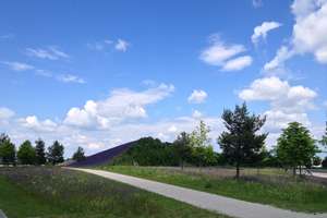 Modern Living im Grünen – Waldtrudering - 2 Zi.Whg. + Süd-West-Balkon – Waldschulstraße 22b, 81827 Waldtrudering, München – Vorschaubild 17