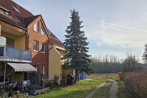 2 Zi, Balkon, ruhig, Potsdam Eiche – Kaiser Friedrich Str 121, 14469 Eiche, Potsdam – Vorschaubild 1