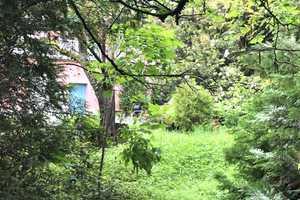 "Schmuckstück" Freistehende Altbauvilla 200 m² + 100 m² ausbaufähig auf 870 m² Gartengrundstück! – Hochtaunuskreis – Vorschaubild 1