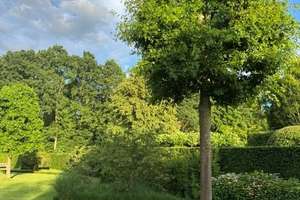 Villa in bester Lage von St. Mauritz – Die vollständige Adresse der Immobilie erhältst du vom Anbieter., 48155 Mauritz-Ost, Münster – Vorschaubild 17