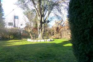 Property thumbnail 18